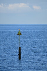 seagull standing on panel in the middle of the sea beach
