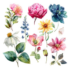 Fototapeta premium Floral arrangement of various blossoms. Watercolor style