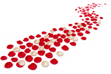 Curved romantic pathway formed by scattered red and white rose petals, symbolizing love against translucent backdrop