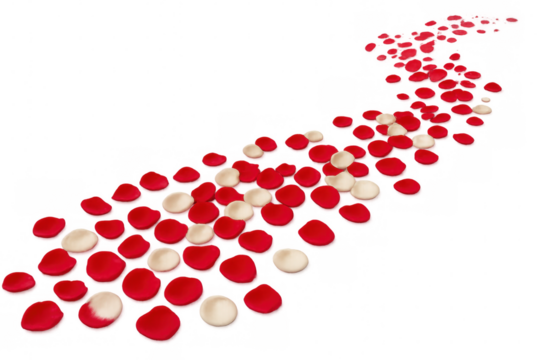 Curved romantic pathway formed by scattered red and white rose petals, symbolizing love against translucent backdrop