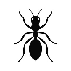 vector illustration of an ant
