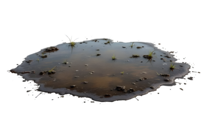 Mud Puddle with Grass, isolated on white background