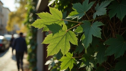 Green Leaf Prospect Character Landscape