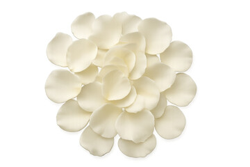 Soft, delicate white rose petals arranged in a circular pattern, creating a beautiful design element on a transparent background