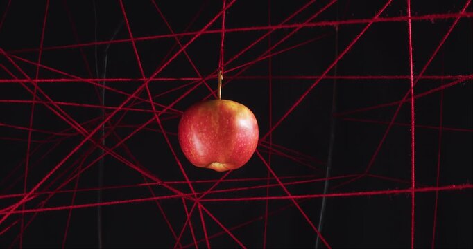 Approaching a red apple hanging inside a net of stretched red woolen threads on a black background. Concept of lust for the forbidden fruit