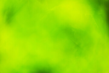 植物をぼかした緑の背景素材