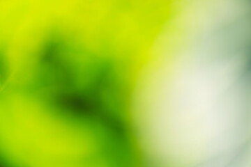 植物をぼかした緑の背景素材