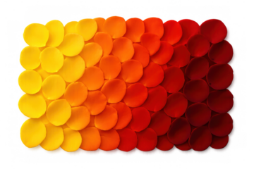 Rose petals arranged on transparent background, creating a gradient from yellow to red, perfect for design projects