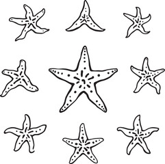 Blue starfish line art delicate smooth curves invited marine life form
