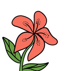 vector illustration of a flower