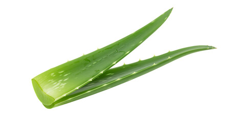 Fresh aloe vera leaves isolated on transparent background for natural remedies