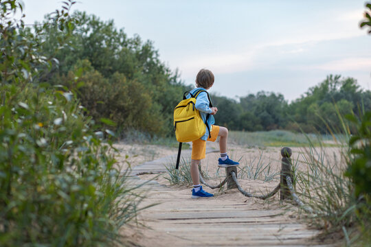 Boy standing on beach, rear view, unrecognizable person.