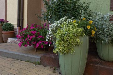 Fototapeta premium flower pots on the street at the exit from the house 