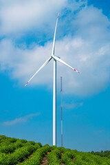 Wind turbines among green fields and blue sky