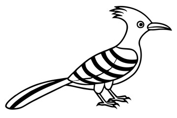 Stylized Hoopoe Line Drawing