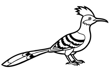 Stylized Hoopoe Line Drawing