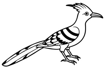 Stylized Hoopoe Line Drawing