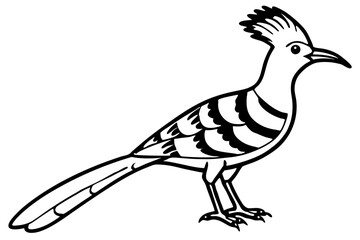 Stylized Hoopoe Line Drawing