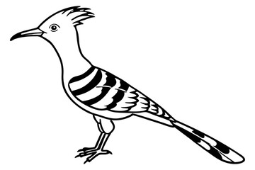Stylized Hoopoe Line Drawing