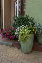 flower pots on the street at the exit from the house
