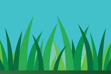 meadow with green blades of grass