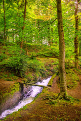 The Rigole de la Montagne Noire is an irrigation channel located in the Tarn department of France. It was built in the 19th century to supply water to the Canal du Midi, bringing water from the Montag