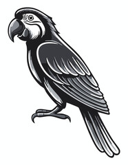 Fototapeta premium Parrot illustration for logo and design