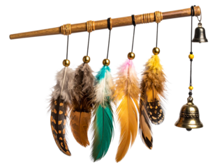 Cat Toy Feather Wand with Bell, Diagonal PNG 