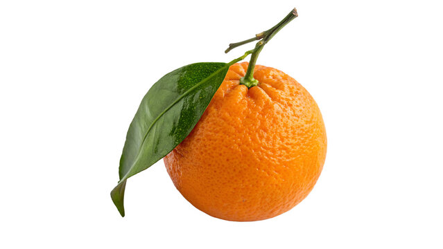 Fresh Mandarin Orange With Green Leaf on transparent background, showcasing freshness