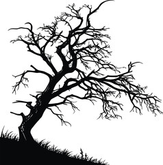 Black vector silhouette of a bare tree with intricate branches and roots, perfect for nature-inspired designs illustrating the beauty of a plant against the sky