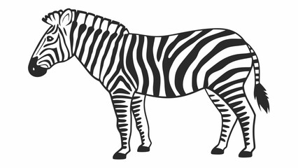 Fototapeta premium Black and White Zebra Illustration Standing Side View
