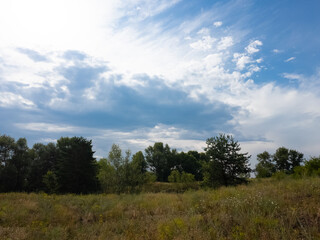 Landscape pine forest and beautiful sky. Field and forest. Clouds in the sky against the background of a pine forest. Natural landscape.