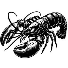 Detailed Black and White Lobster Illustration.