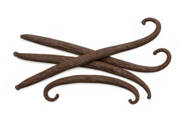 Four curved vanilla pods crossing on a transparent background, creating an elegant and aromatic arrangement