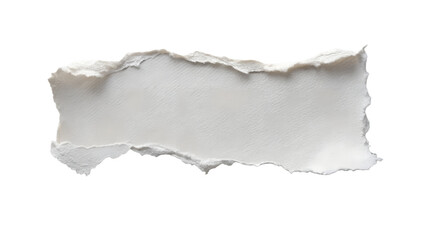 A torn piece of textured paper with rough edges, isolated on a clean transparent background, offering ample copy space