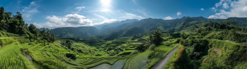 Obraz premium Breathtaking panoramic view of terraced rice fields mountain landscape 360 degrees hdr hdri