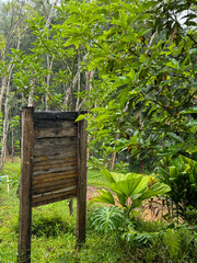 Close up of a wooden board surrounded by greenery