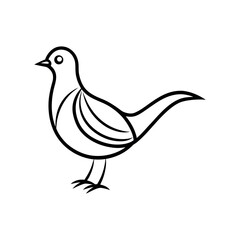 Fototapeta premium A faela line art vector illustration.