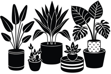 Black and White Illustration of Indoor Plants Strelitzia, Monstera and Small House Plants