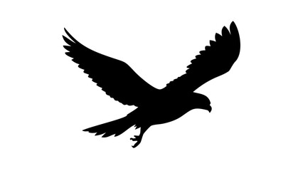 Fototapeta premium Black Falcon Descending Silhouette