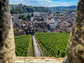 Schaffhausen city, view through lookout onto hilltop vineyard, onto medieval city of Schaffhausen, Switzerland, Europe
