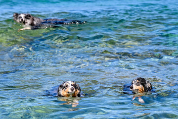 HRV, Kroatien, Brac, Insel in Dalmatien, Milna