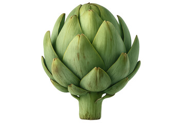 Obraz premium Ripe artichoke with tightly packed leaves, isolated on transparent background, ready for culinary use