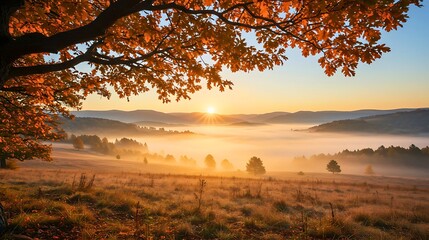 Obraz premium Autumn Sunrise Over Foggy Valley A Scenic Morning Landscape with Warm Sunlight