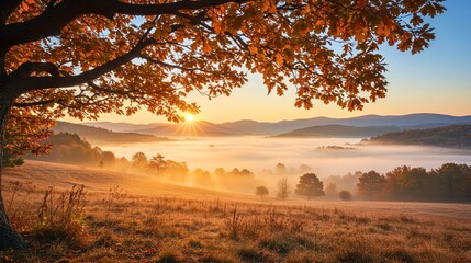 Obraz premium Autumn Sunrise Over the Valley A Tranquil Landscape with Golden Light and Mist