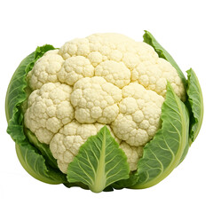 Fresh White Cauliflower Floret Isolated on Transparent Background