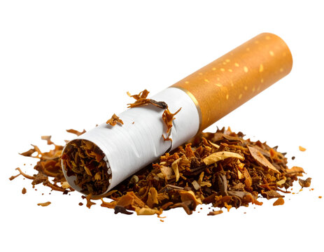 Cigarette and Tobacco: An evocative close-up showcases a solitary cigarette alongside a pile of loose tobacco, highlighting the raw materials and the symbol of choice.
