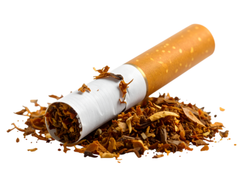 Cigarette and Tobacco: An evocative close-up showcases a solitary cigarette alongside a pile of loose tobacco, highlighting the raw materials and the symbol of choice.