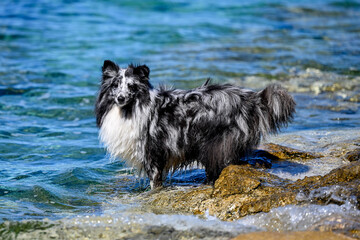 HRV, Kroatien, Brac, Insel in Dalmatien, Milna