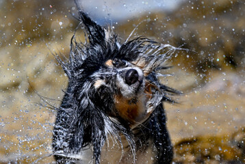 HRV, Kroatien, Brac, Insel in Dalmatien, Milna